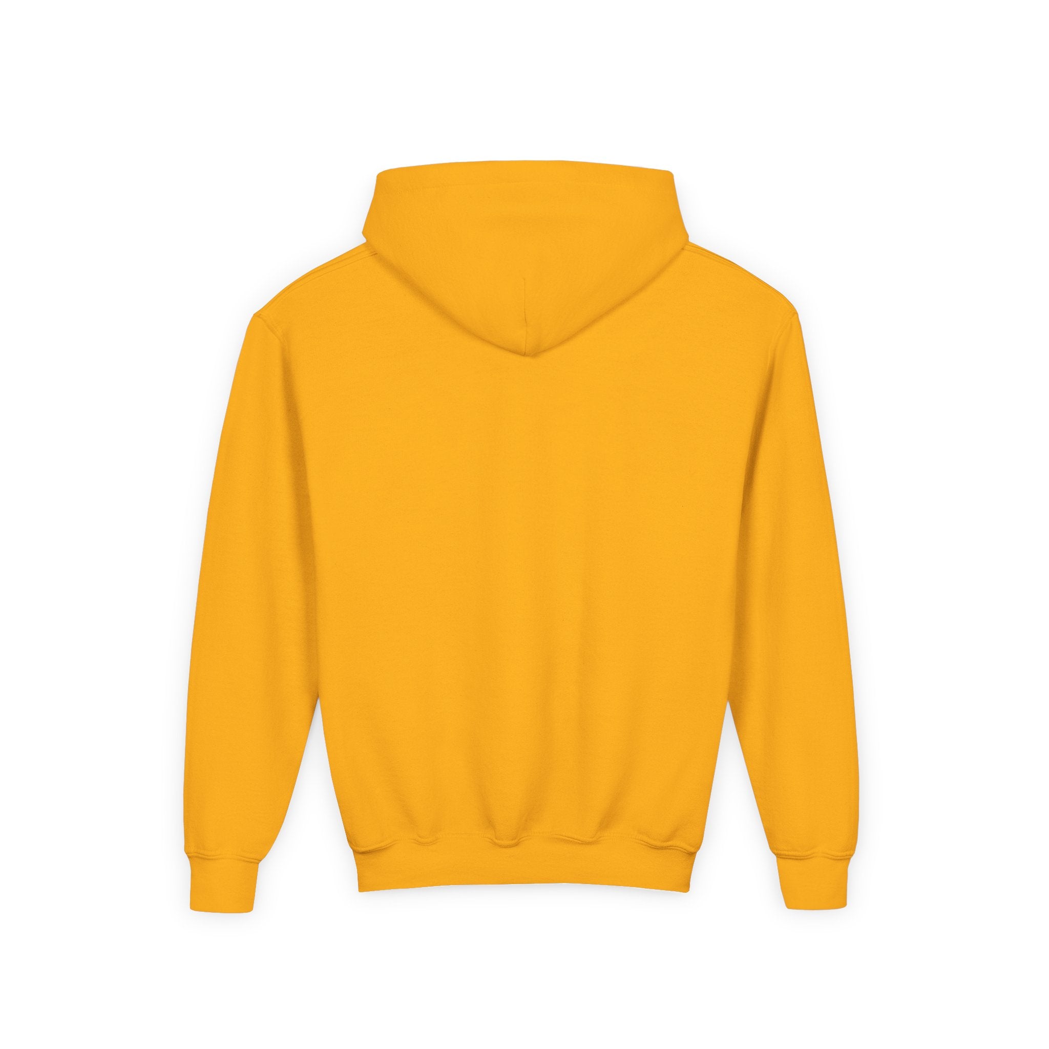 VB Clothing - Youth Heavy Blend Hooded Sweatshirt