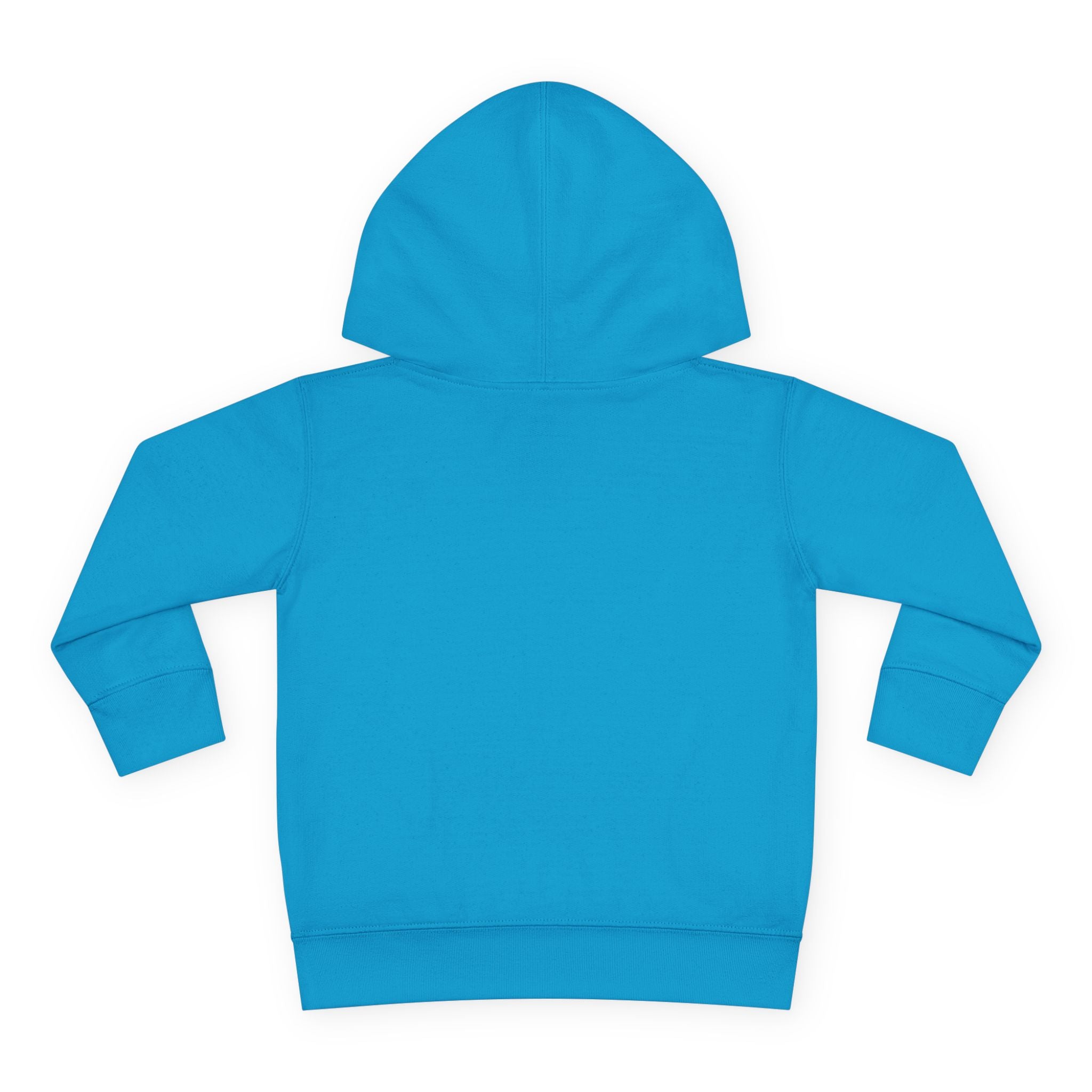 Cozy Toddler Hoodie for Little Adventurers, Perfect for Play, Gifts, Birthdays, Everyday Wear, Nature Lover's Apparel