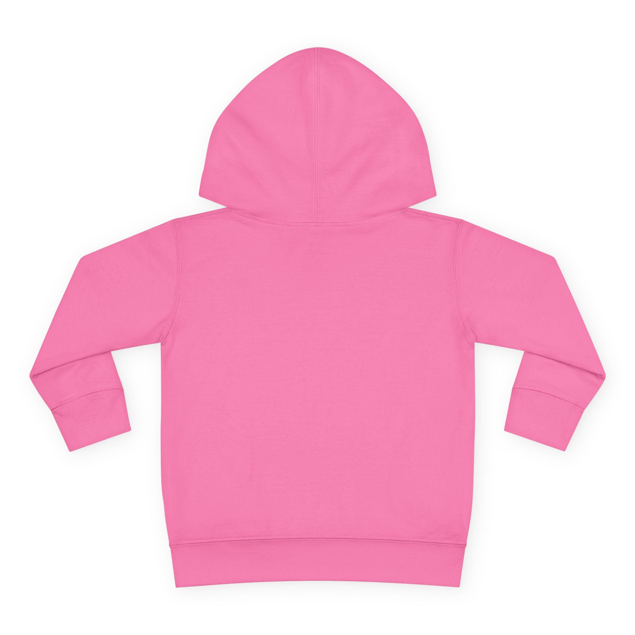 Cozy Toddler Hoodie for Little Adventurers, Perfect for Play, Gifts, Birthdays, Everyday Wear, Nature Lover's Apparel