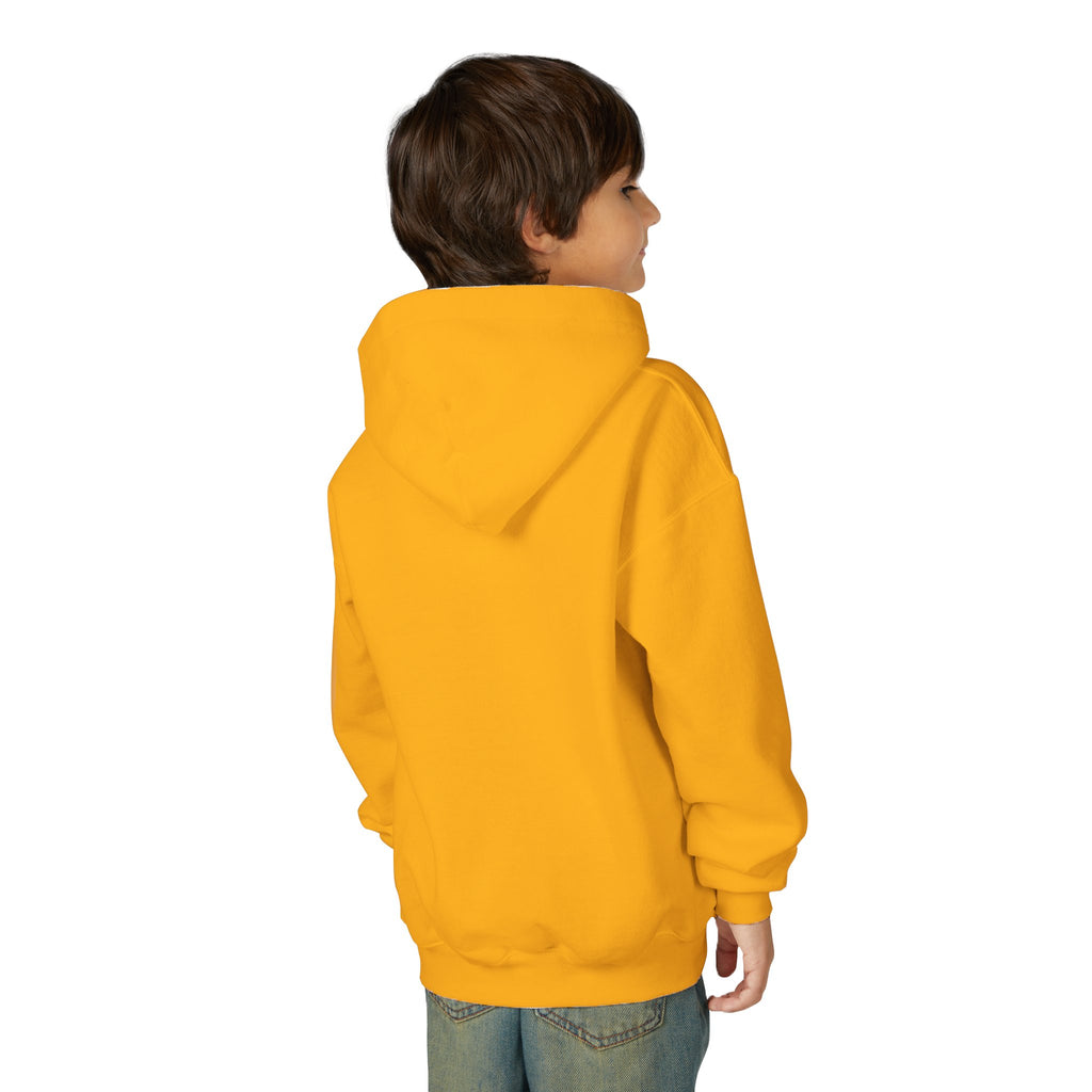 VB Clothing - Youth Hoodie