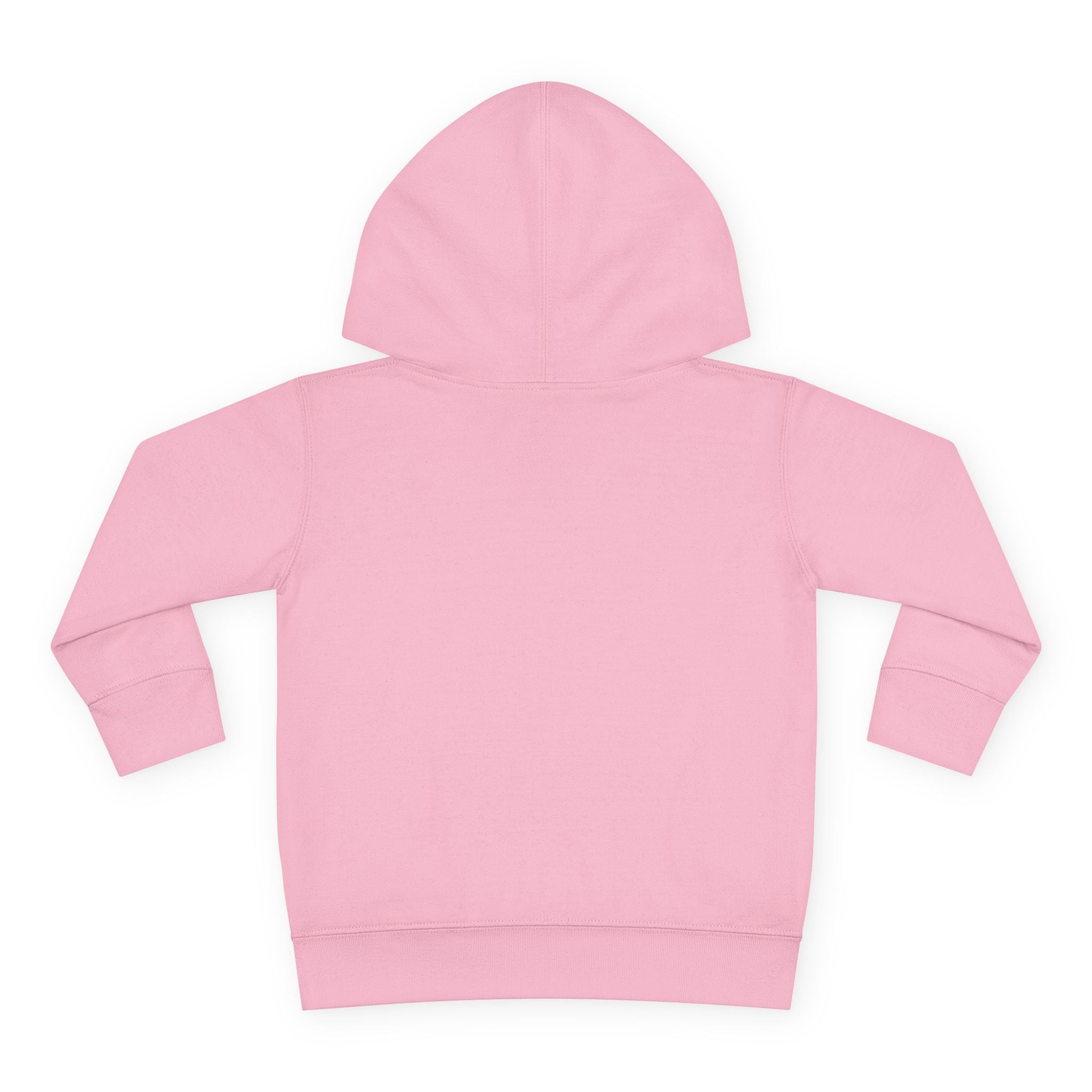 Cozy Toddler Hoodie for Little Adventurers, Perfect for Play, Gifts, Birthdays, Everyday Wear, Nature Lover's Apparel